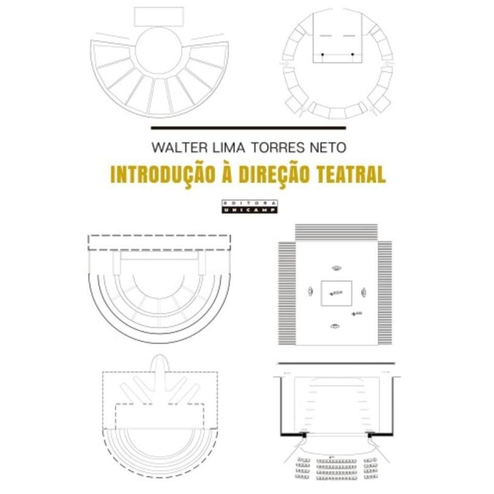 Introducao A Direcao Teatral