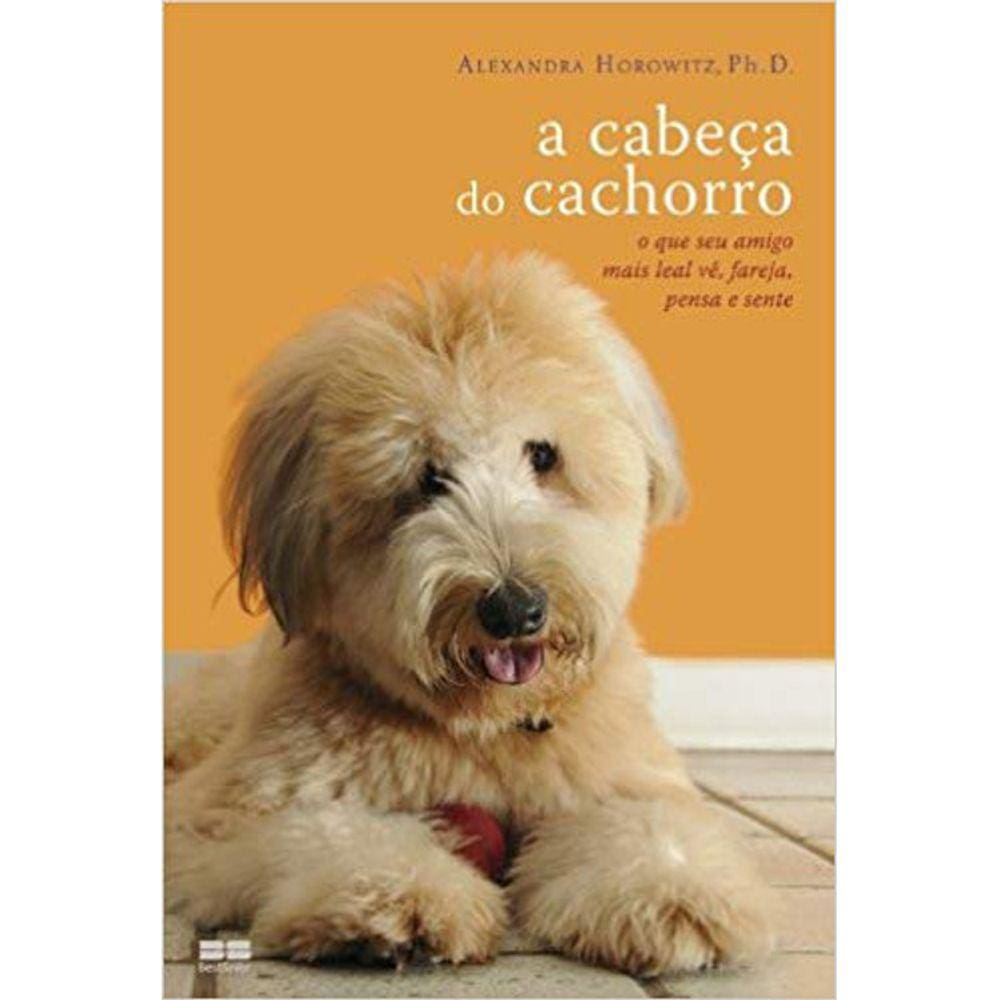 A Cabeça Do Cachorro