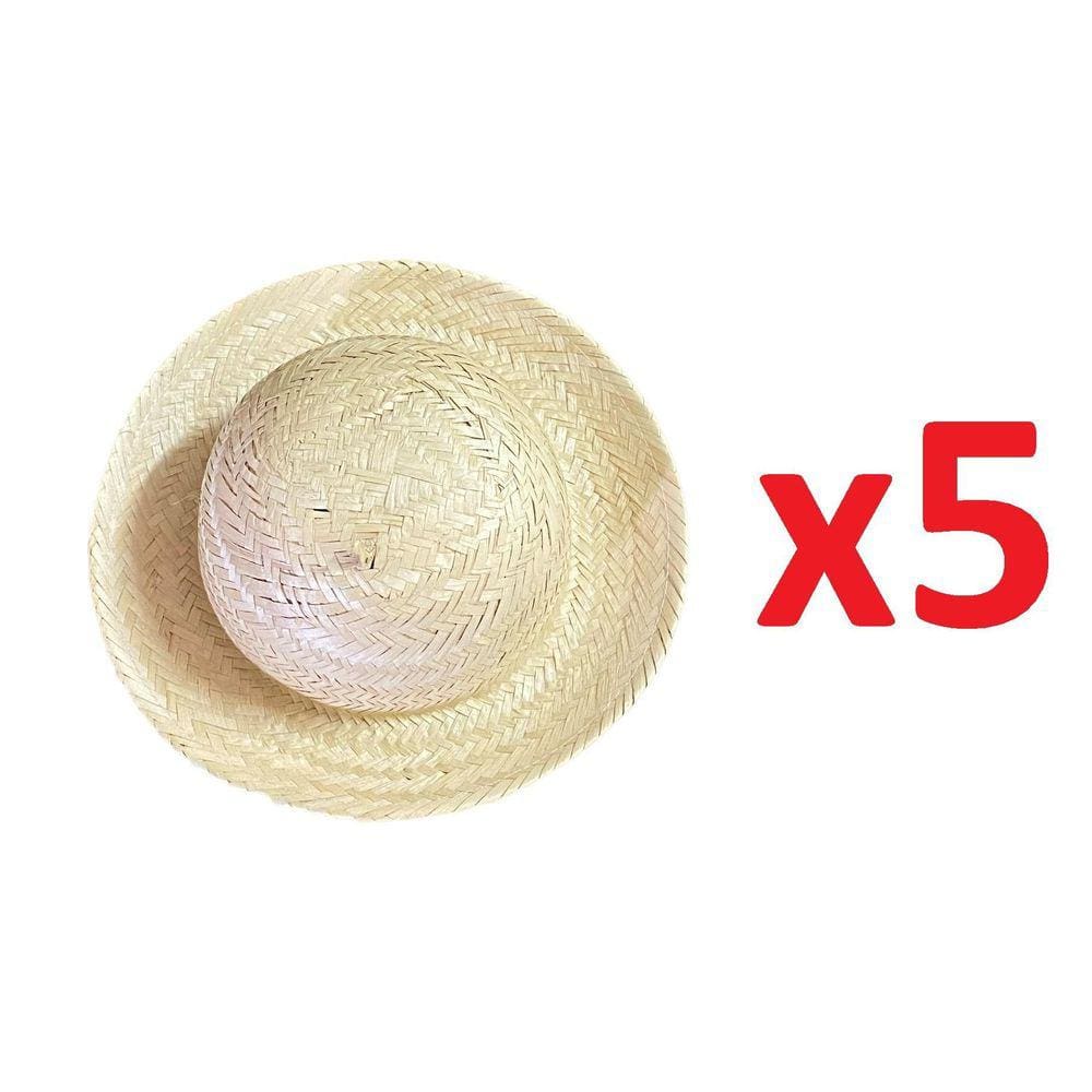 5 Un Mini Chapéu Palha Festa Caipira 25,5Cm São Joao Junina