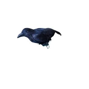 Modelo Simulação Pássaro Corvo Negro Animal Halloween