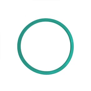 Guarnição / Anel De Vedação Autoclave Biotron 12/21 L Verde