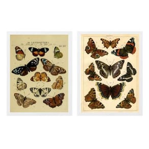 Kit 2 Quadros Borboletas Vintage 45X34Cm - Com Vidro