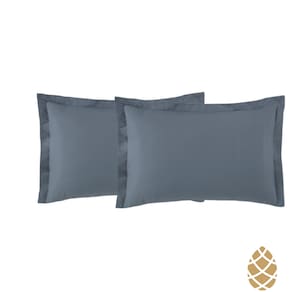 Kit 2 Fronhas Toque Acetinado 35x50 Altenburg Azul Dimensão