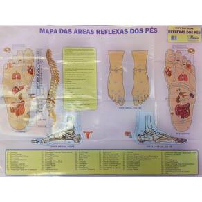 Mapa das Áreas Reflexas dos Pés Para Massagem Ortopedia Fisioterapia MultiMapas Grande 120x90CM