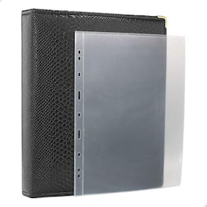 Álbum Fichário 50 Folhas Cédulas 1 Espaço 32x24 Cobra GF