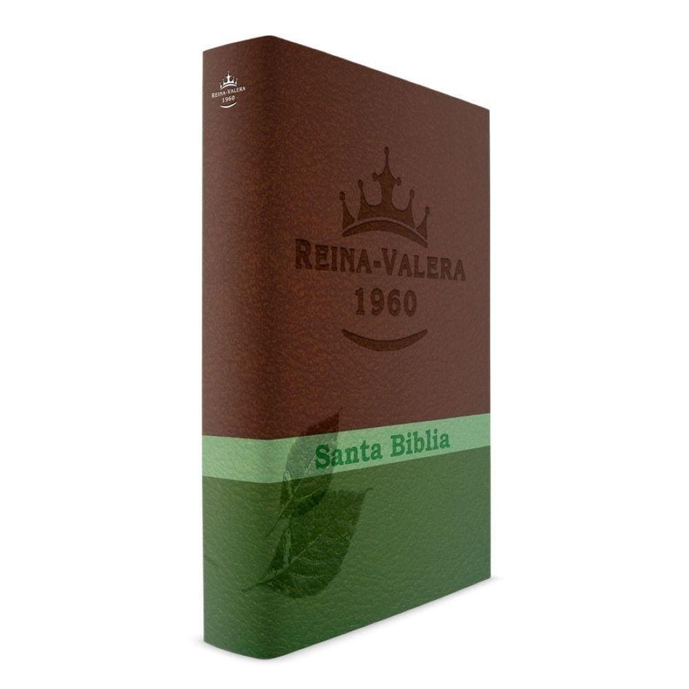 Santa Biblia Reina Valera 1960: Con Concordancia Amplia - Letra Grande - Español - Tapa Dura
