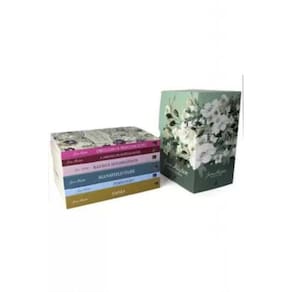 Box Jane Austen: Principais Obras - 6 Volumes