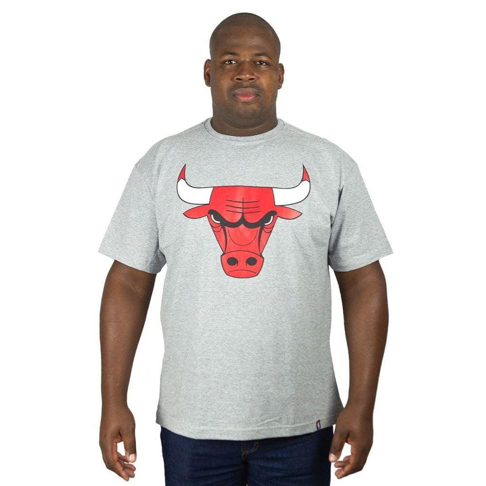 Camiseta NBA Plus Size Chicago Bulls - Cinza - G1