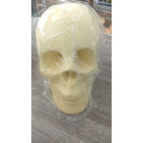 Imagem Cranio Beje Escultura Gesso Estatua Maravilhosa 30 Cm