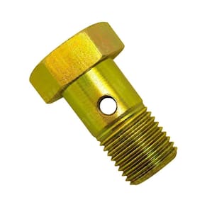 Parafuso Oco M10x1 Com 2 Furos Motor Yanmar
