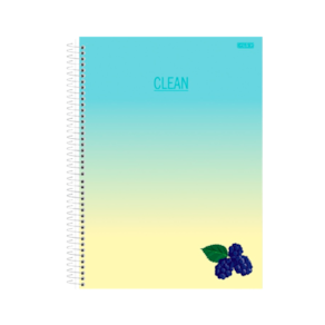 Caderno Colegial 1 Matéria 80 Fls São Domingos Clean Amora