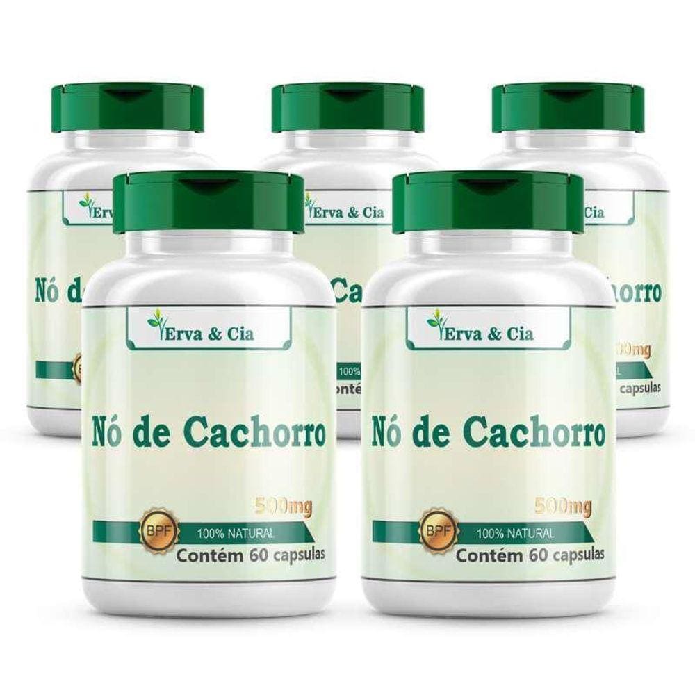Nó De Cachorro Revigorante Mental 300 Cápsulas 500Mg 5 Potes