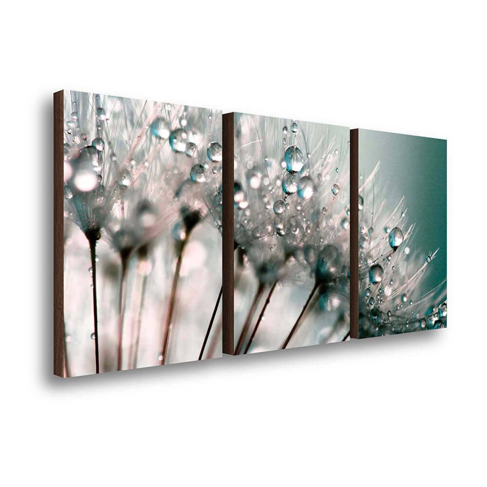 QADR14-Kit 3 Quadros Decorativos Dente de Leão 40x60cm