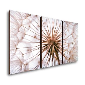 Kit 3 Quadros Decorativos Dente de Leão 50x90cm