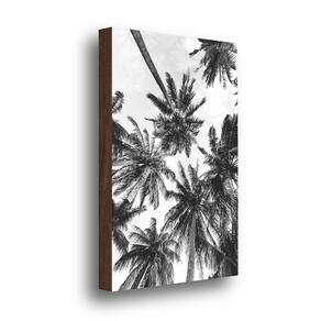 Quadro Decorativo Coqueiros Preto e Branco 40x60cm