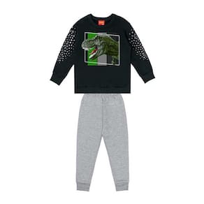 Conjunto Infantil Masculino Dinossauro Kyly Ref: 208074 4/8