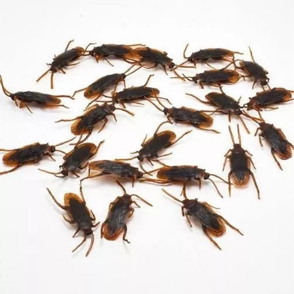 Kit 25 Baratas Plástico Inseto 5cm Decoração Pegadinha