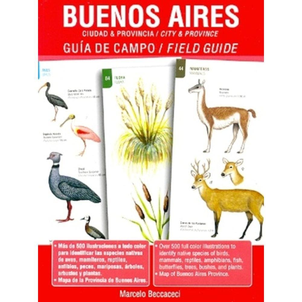 Buenos Aires Ciudad E Provincia Guía De Campo