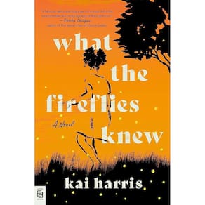 What The Fireflies Knew