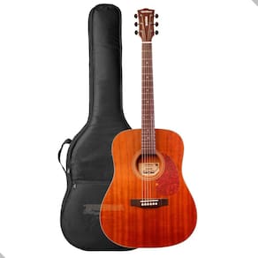Violão Folk Aço Eletrico Waldman Dex441 N Natural + Capa