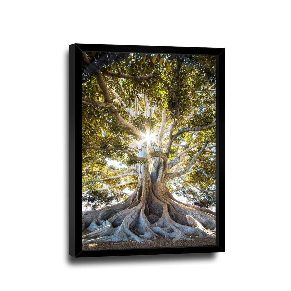 Quadro árvore Presença