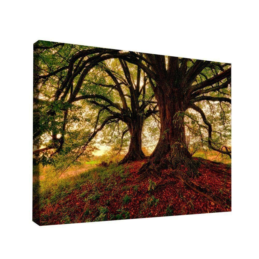 Quadro Decorativo árvore Meu Esconderijo