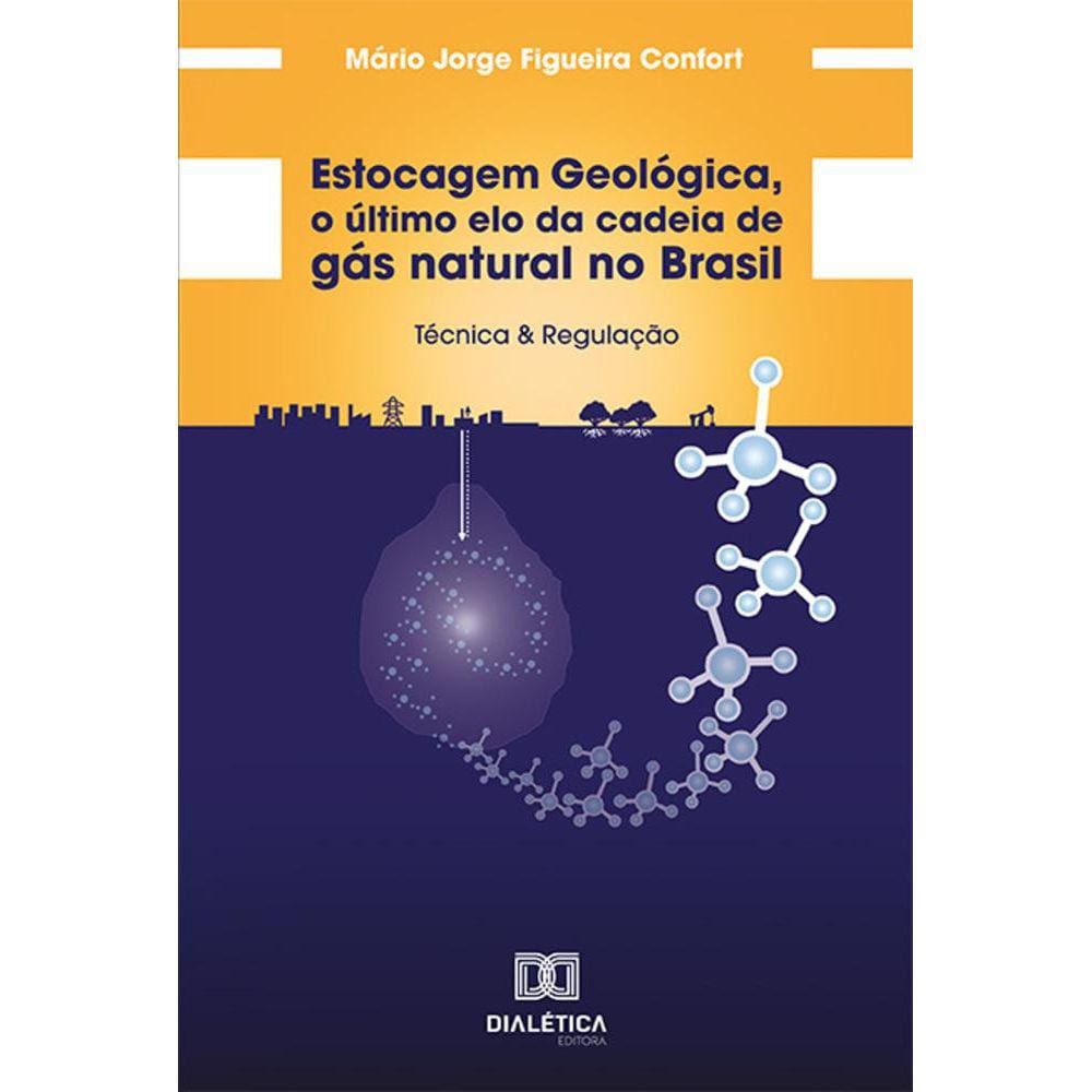 Estocagem Geológica, o último elo da cadeia de gás natural no Brasil - Técnica & regulação