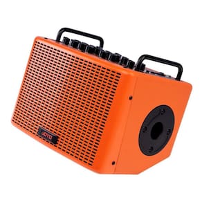 Amplificador Multifuncional Para Violão Joyo Bsk-40
