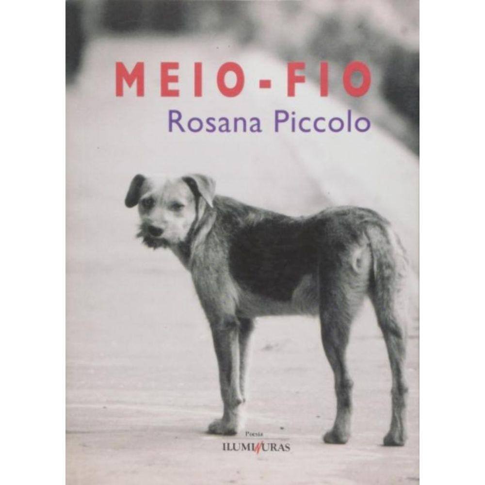 Meio-Fio