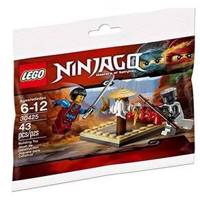 Campo de treinamento de mestres LEGO Ninjago CRU (30425)