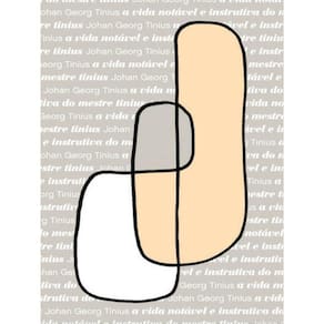 A Vida Notável E Instrutiva Do Mestre Tinius - Vol. 6