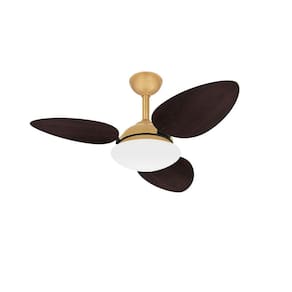 Ventilador De Teto Pétalo Potente Dourado 3 Pás Ventax 110V