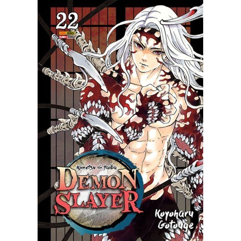 Demon Slayer - Kimetsu no Yaiba - Vol. 22
