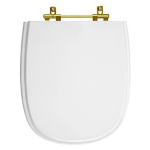 Tampa de Vaso Poliester Sabatini Branco para bacia Icasa Com Ferragem Dourada