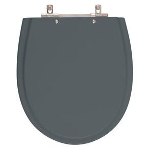 Assento Sanitario Poliester Polo Cinza Plus (cinza escuro) para vaso Hervy