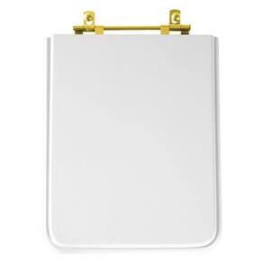 Tampa de Vaso Poliester Cubo Branco para bacia Deca Com Ferragem Dourada