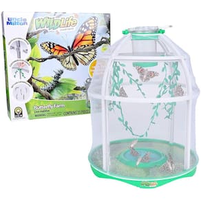 Tio Milton Butterfly Farm Live Habitat - Observe Butterfly Lifecycle in Garden - Inclui para Resgatar para Lagartas