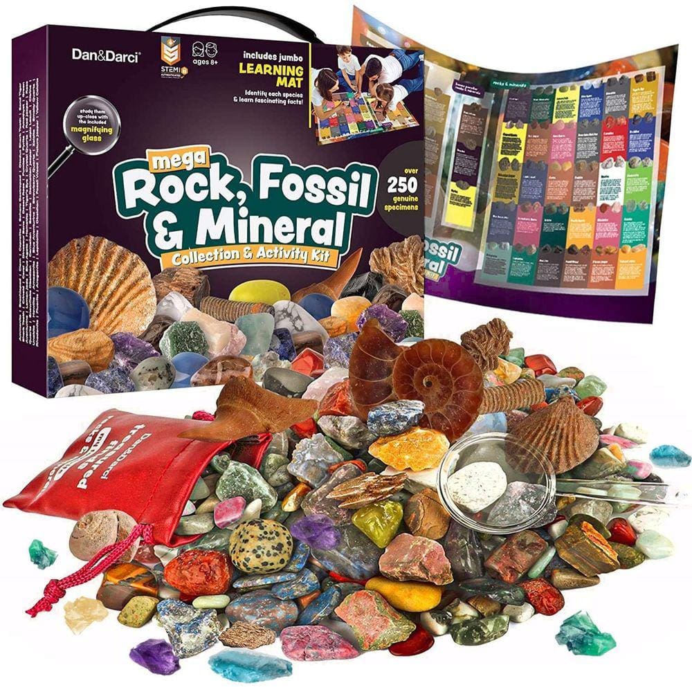 Marca de Produto: Coleção Científica de Rochas e Minerais - 250+ Gemas, Cristais, Fósseis