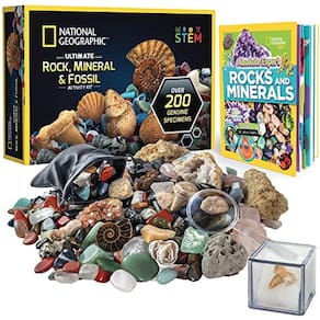 Kit de Minerais Realistas - 200+ Peças, Livro Expert