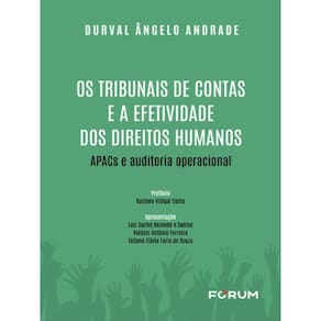Os Tribunais De Contas E A Efetividade Dos Direitos Humanos