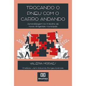 Trocando o pneu com o carro andando - Aprendizagem no trabalho de novos dirigentes municipais