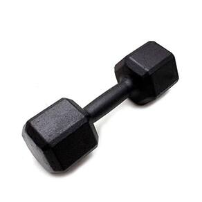 Peso Halter Para Musculação 4kg Preto Ferro