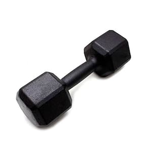 Peso Halter Sextavado Pintado Para Musculação 20kg