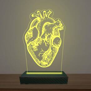 Luminária Led 3d Coração Anatomia Abajur Luxo