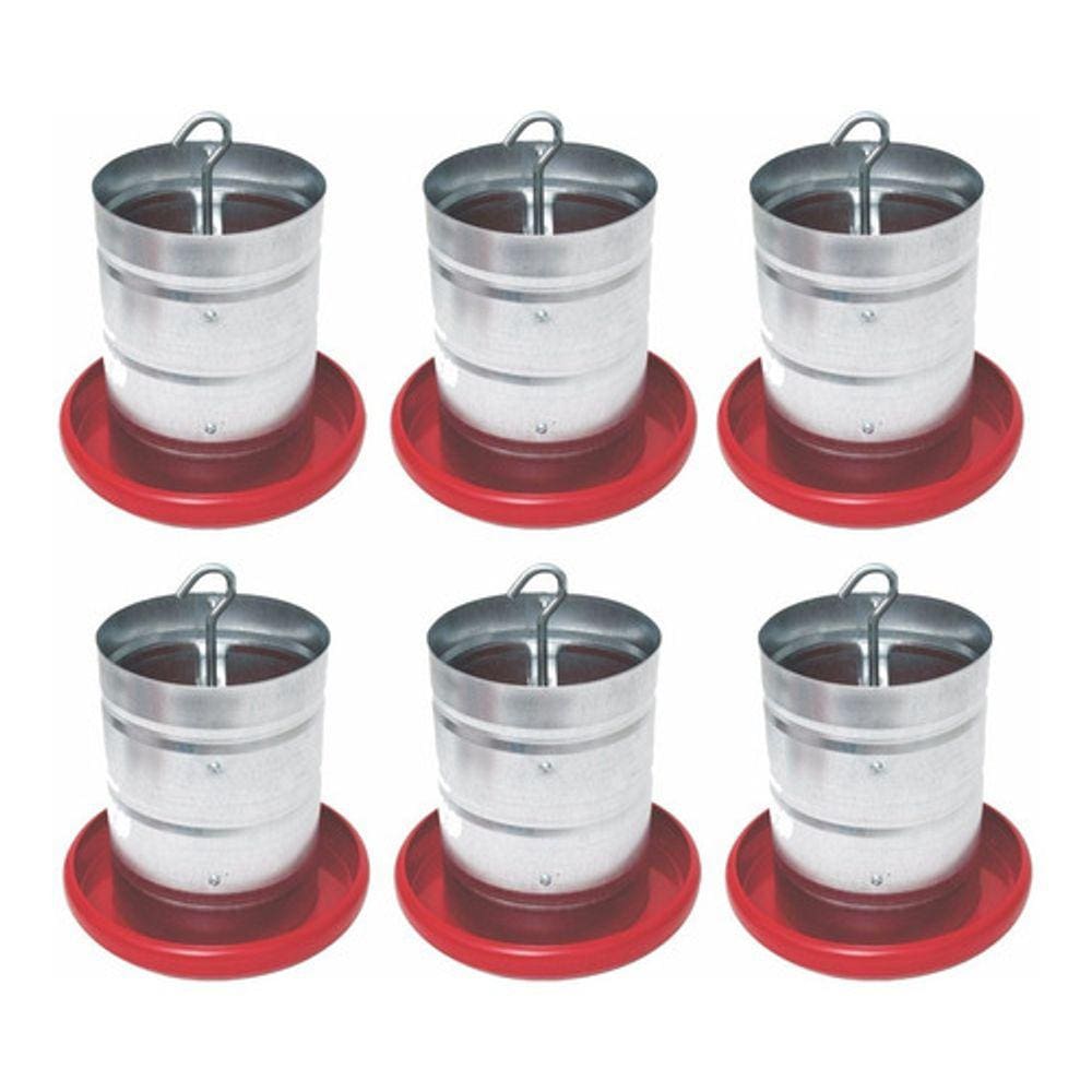Comedouro Galvanizado Prato Plástico Para Aves 5kg (6 Unid.)