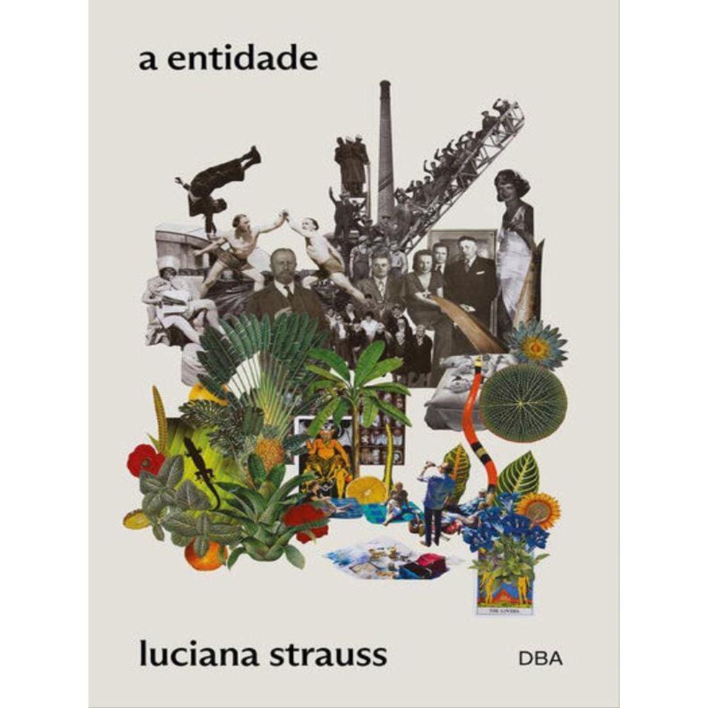 A Entidade