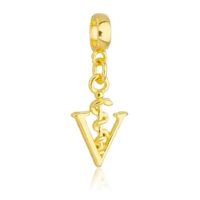 Pingente Berloque Símbolo Da Veterinária Pandora Banhado a Ouro 18k - Premium