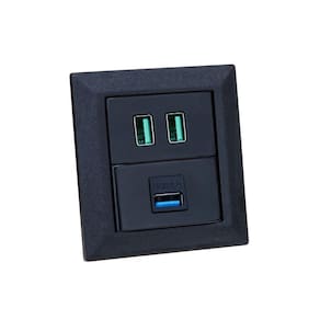 Espelho de Tomada Duplo Chanfrado 1 USB Dados 2Usb 4.9A Pr