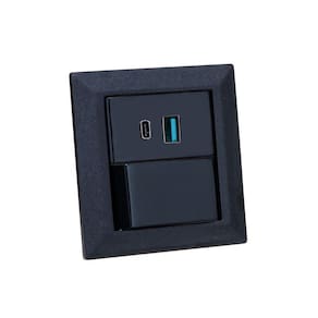 Espelho de Tomada Duplo Chanfrado 1 Interruptor 2Usb 9.0A Pr