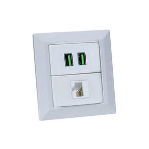 Espelho de Tomada Duplo Chanfrado 1 Rj-45 Cat5e 2Usb 4.9A Br